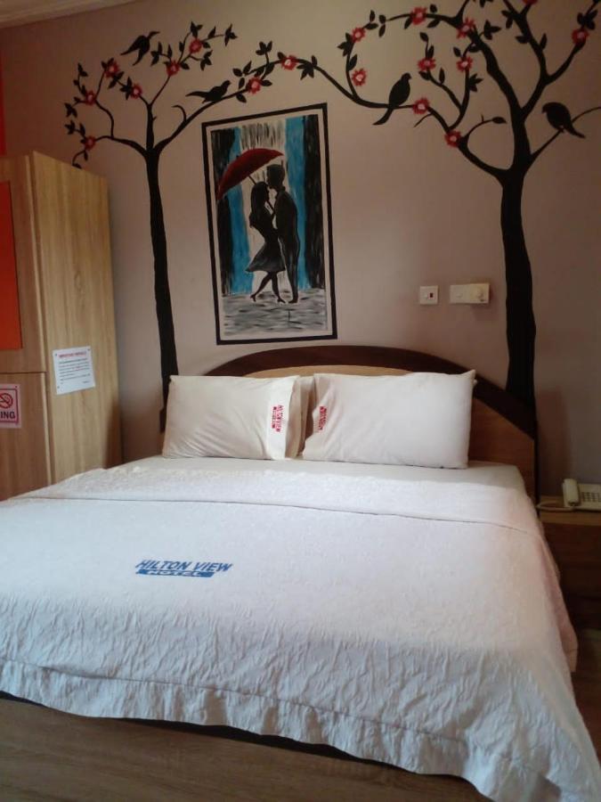 Hilton View Hotel Ogbodjo Zewnętrze zdjęcie